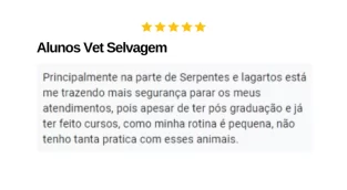 Novo Projeto (11) (1)