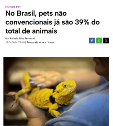 Novo Projeto (3) (1)