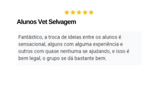Novo Projeto (9) (1)